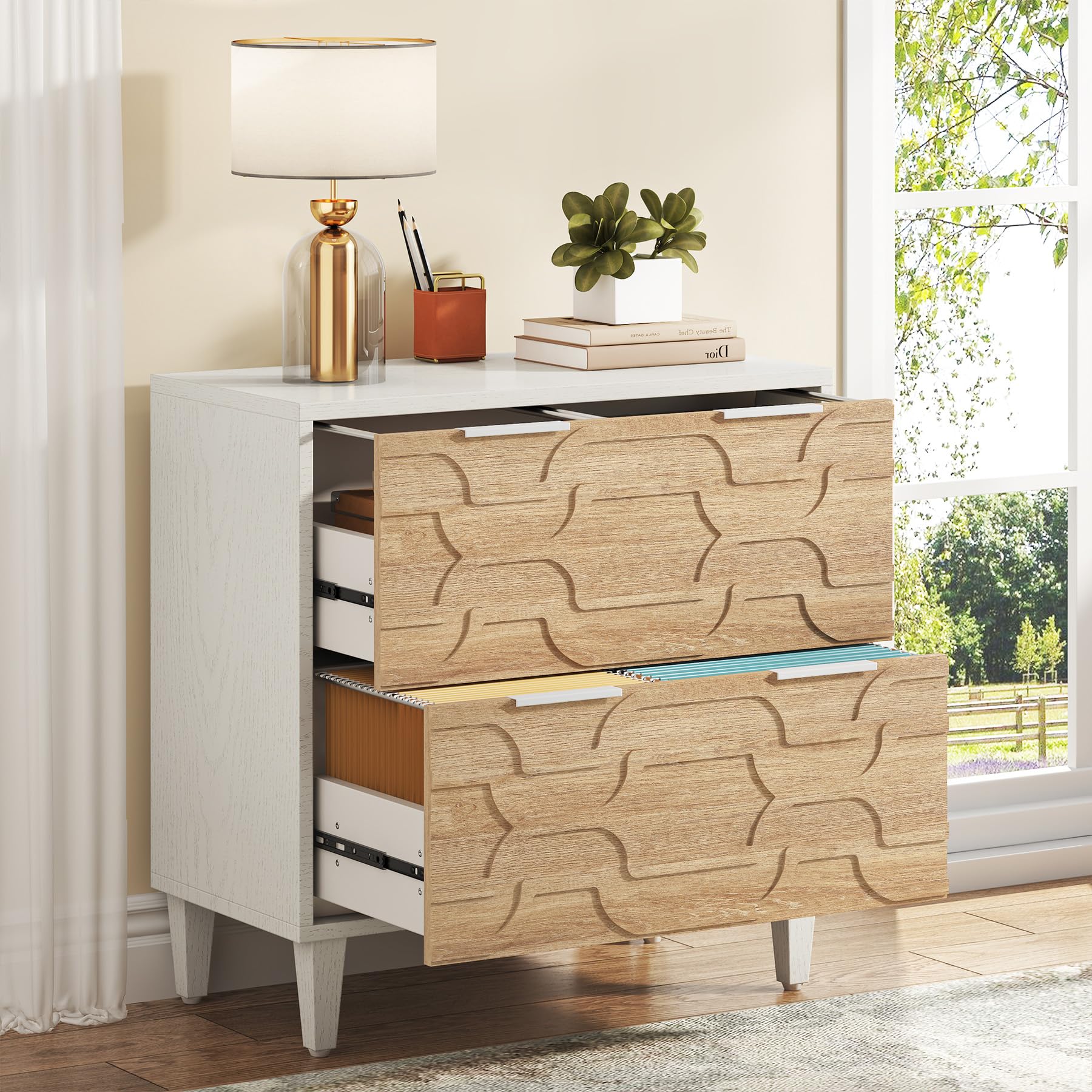 Commercial Printer - Tribesigns 2-Drawer File Cabinet, Lateral Filing