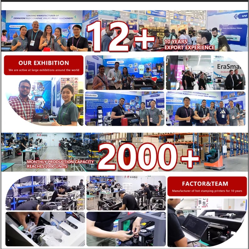 2024 Hot Selling A3 Dtf Printe - огляд і ціна Dtf Powder Shaker
